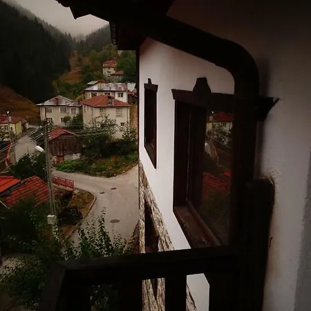 Nia Guest house Raykovo