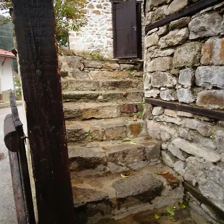 Nia Guest house *